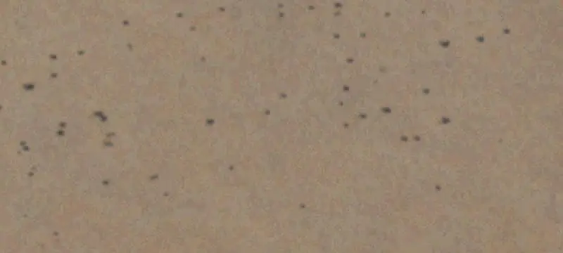 High-Desert Agricultural Land
