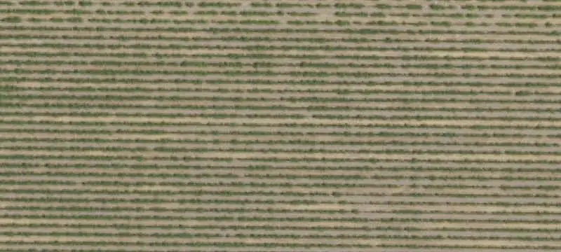 Land/Lot