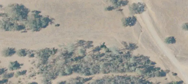 Remote Hunting Land