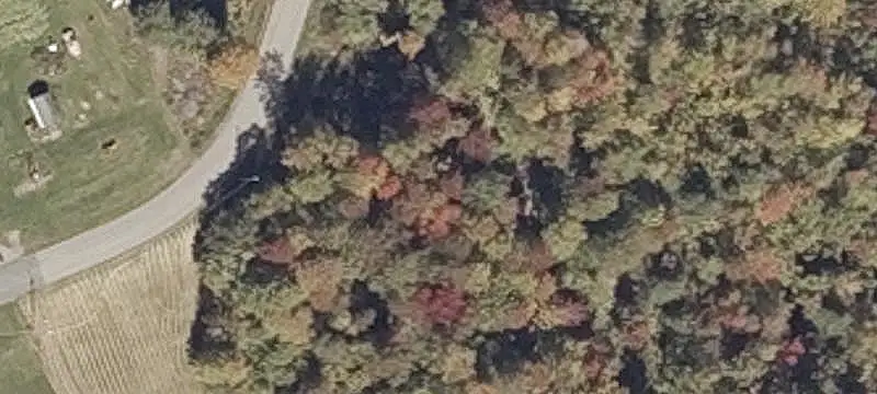 Land