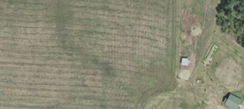 Forested Hunting Land with Cabin