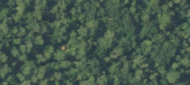 Wooded Hunting Land with Improvements
