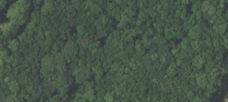 Wooded Farm Property