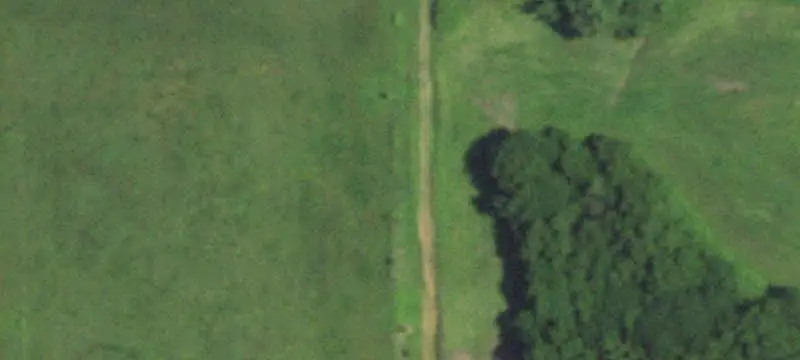 Farm with Custom Home and Hunting Improvements