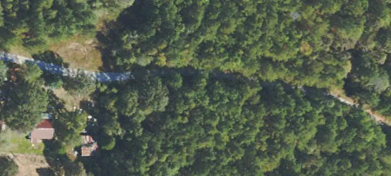Wooded Hunting Land