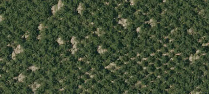 Diversified Tree Nut Farm