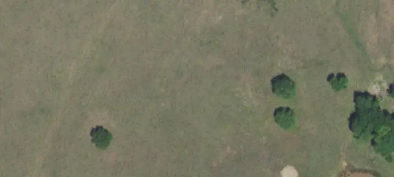 Agricultural Land with Improvements