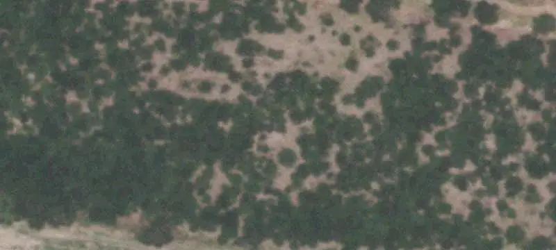 Agricultural Land Tract