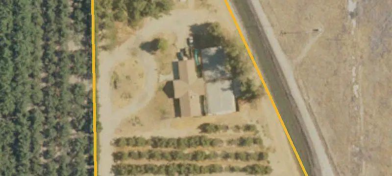 Walnut Farm With Irrigation