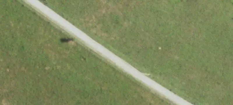 Agricultural Land with Creek