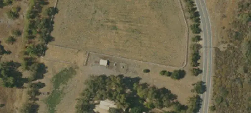 Avocado Grove Farm