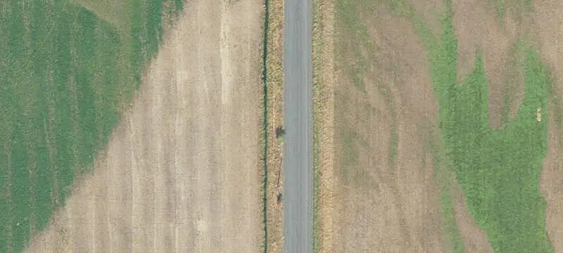 Irrigated Agricultural Land