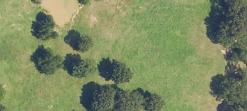 Agricultural Land With Road Frontage