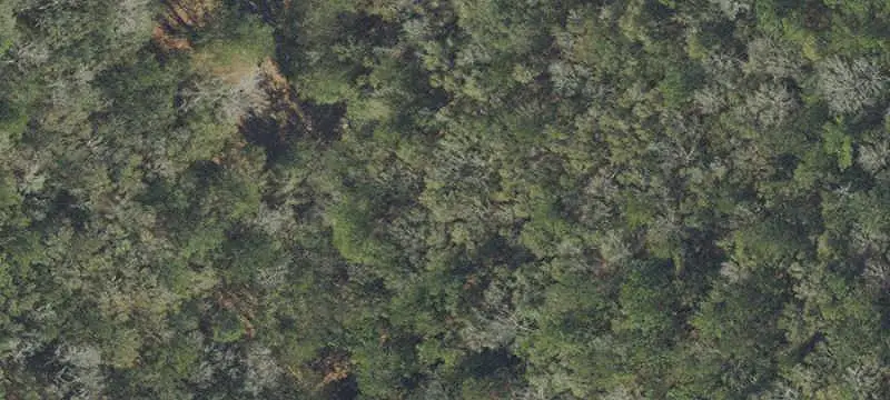 Wooded Recreation Land