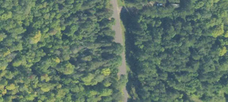 Hunting Land with Cabin