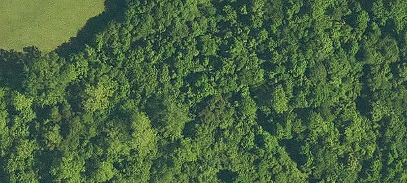 C-2 Commercial Land with Dual Access