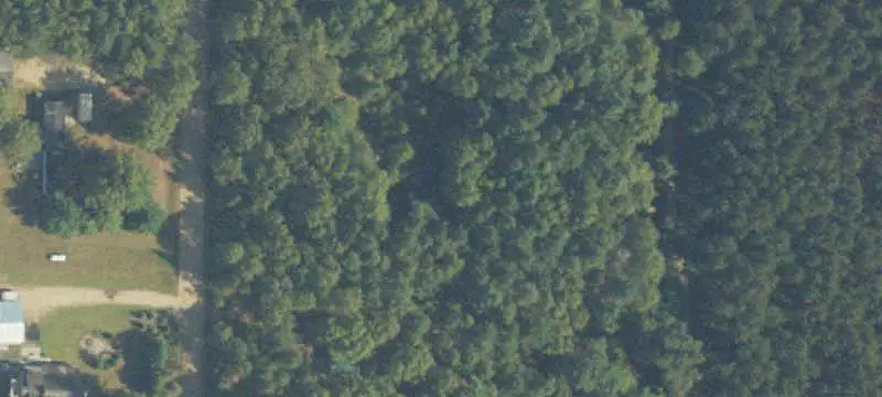 Wooded Recreation Land