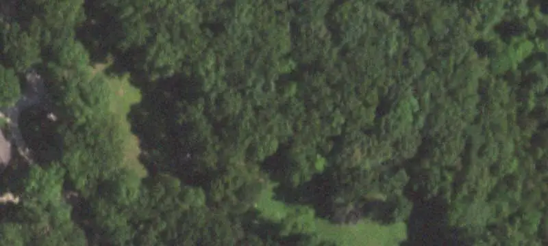 Wooded Hunting Land with Creek
