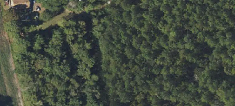Wooded Land with Pond