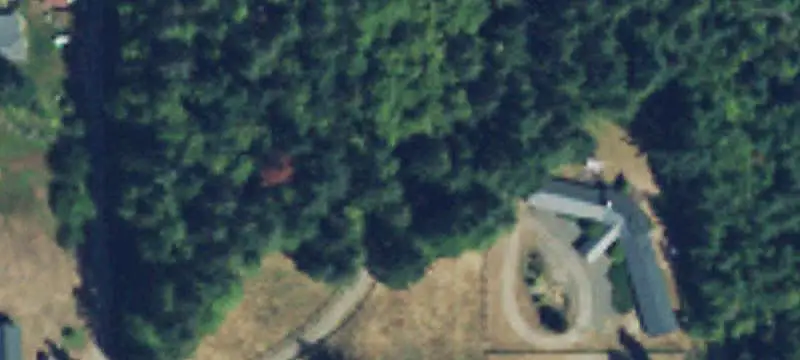 Wooded Recreation Land