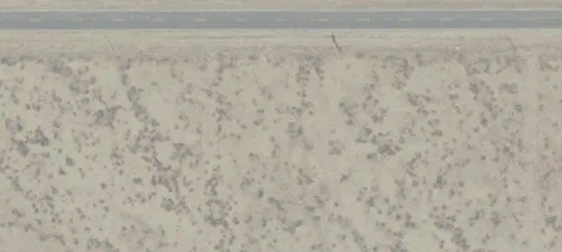 Rural Vacant Land Parcel