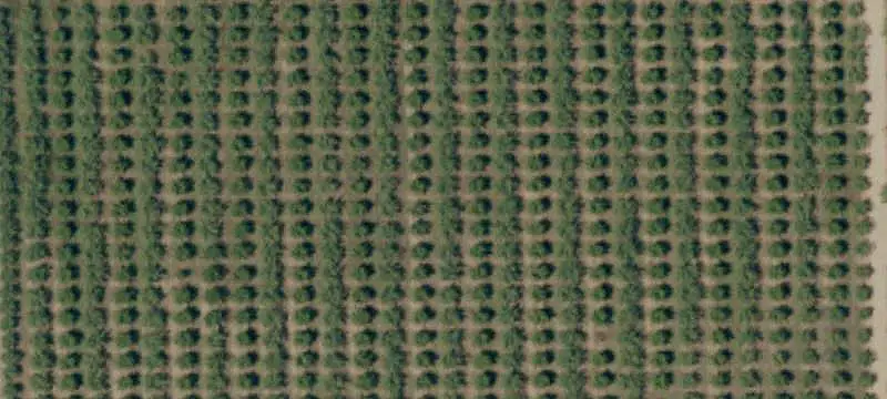 Land/Lot