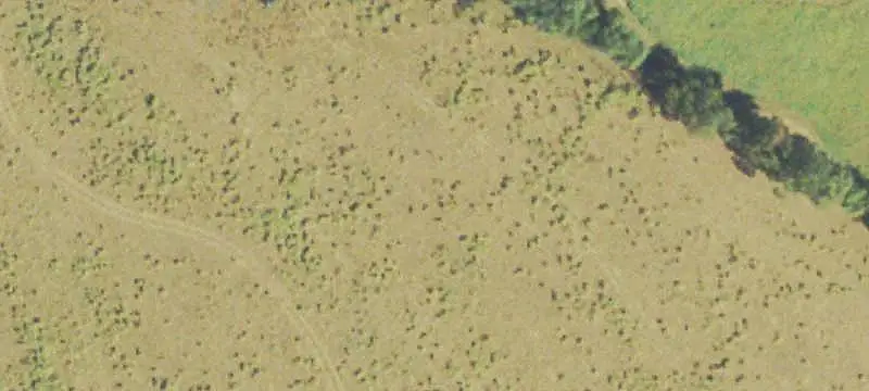 Ranch Property with Hay Fields