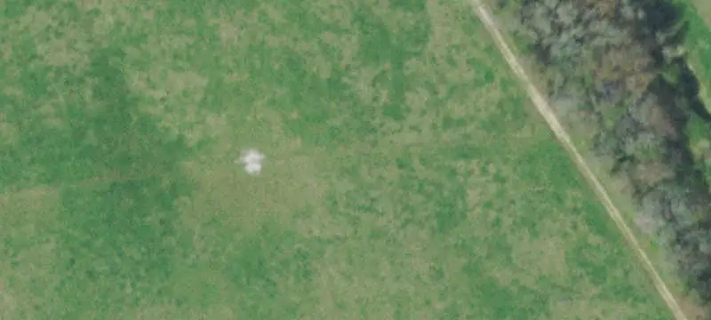 Farm