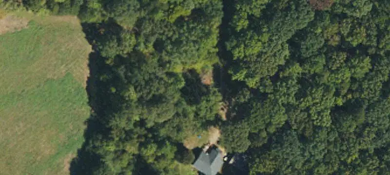 Wooded Agricultural Land