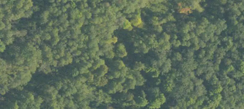 Hunting Land with Main Lodge