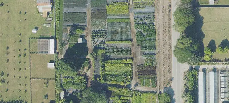 Fenced Agricultural Land