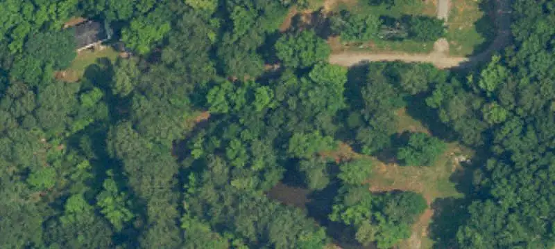 Partially Cleared Land