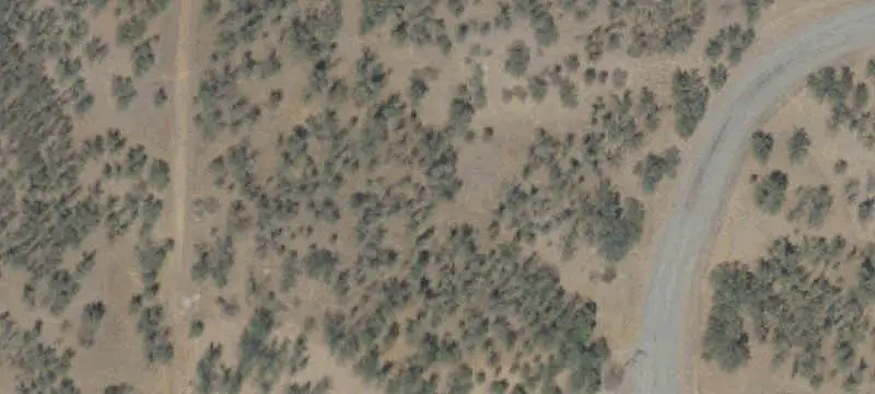 Lots/Land / Acres