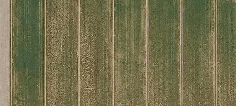 Lots/Land