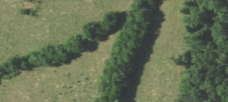 Hunting Land with Open Fields