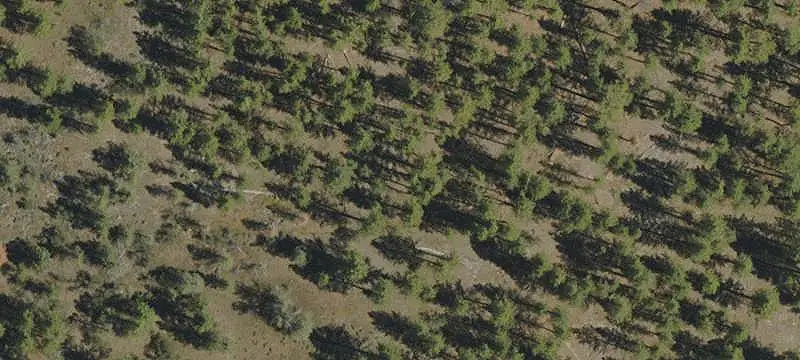 Hunting Land Near National Forest