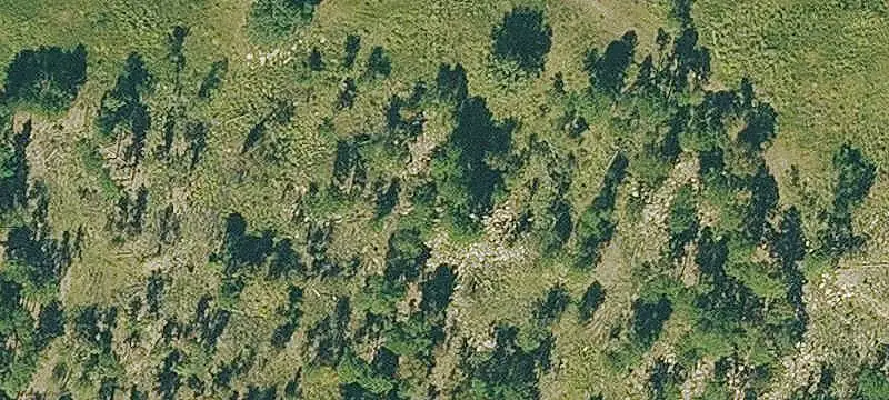 Creekfront Hunting Land