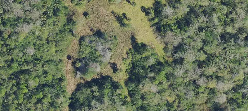 Lot & Land