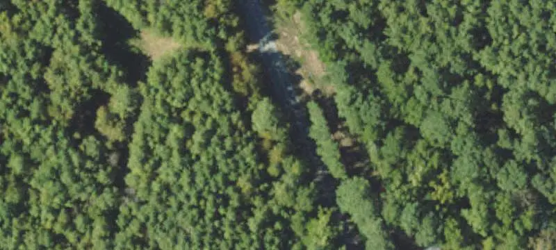 Hunting Land with Spring-Fed Creek