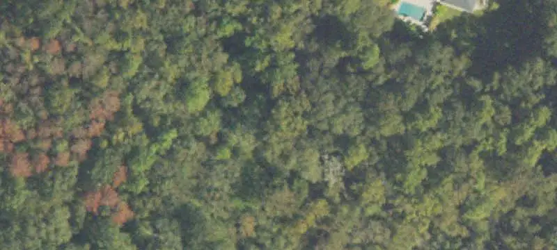Lots/Land