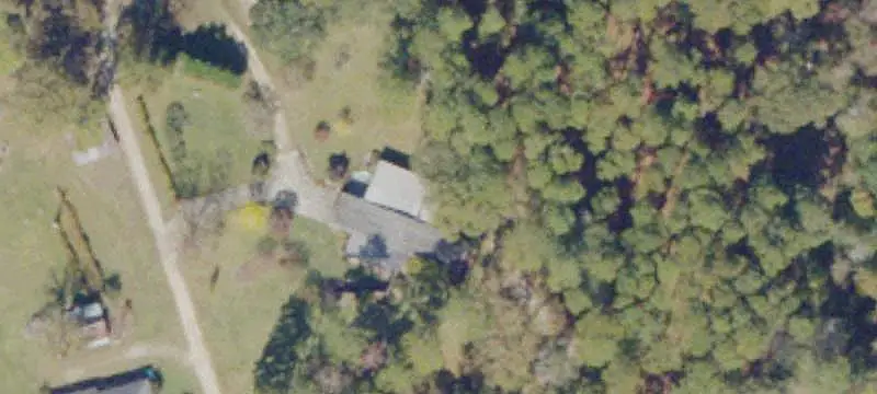 Agricultural Land with Pine Timber