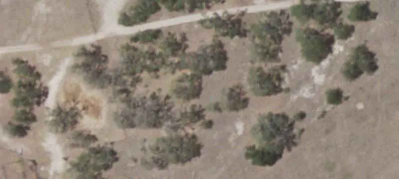 Horse Property with Barndominium