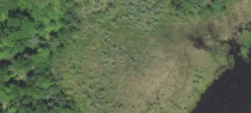 Hunting Land with Cabin