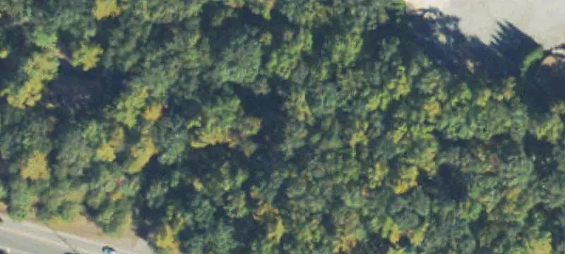 Commercial Land at Signalized Corner