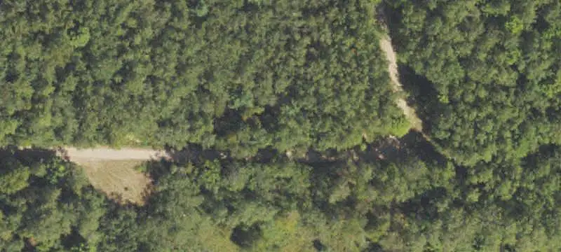 Wooded Land Bordering State-Owned Property