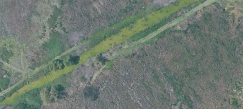 Farm Land With Island Wetland