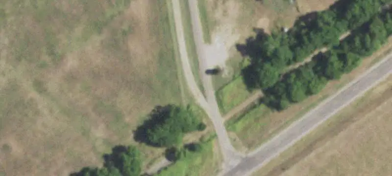Pastureland With Mature Trees