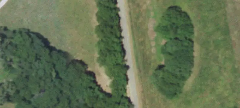 Cattle Ranch With Hilltop Views