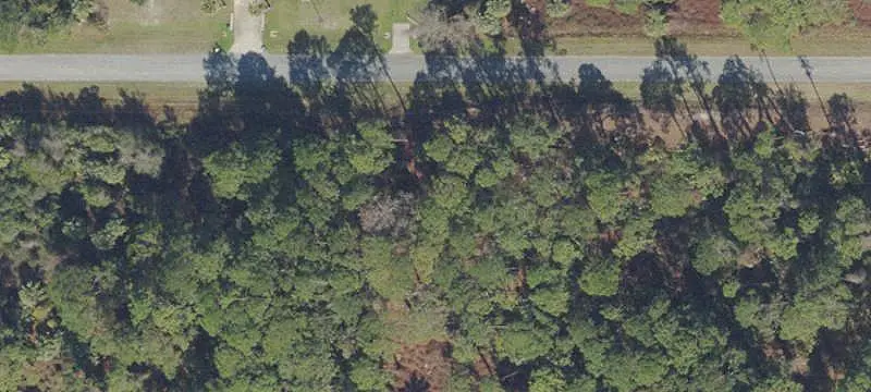 731 PARADISE BOULEVARD, GEORGETOWN, FL 32139
