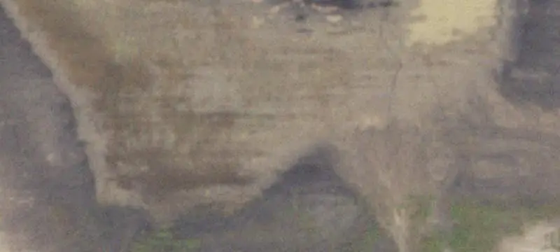 Corner Commercial Land